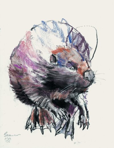 Beaver, 2001 (kull und conte på papir) av Mark Adlington