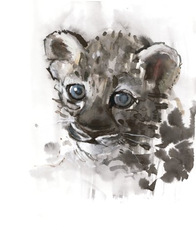 Blue Eyes (arabisk leopardunge), 2008 av Mark Adlington