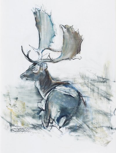 Buck in the Grass, 2006 (charcoal und conte på papir) av Mark Adlington