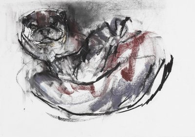 Dog Otter (kull und conte på papir) av Mark Adlington