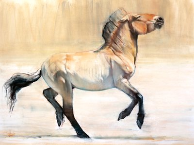 Equus (Przewalski), 2014, (pastell og kull på papir) av Mark Adlington