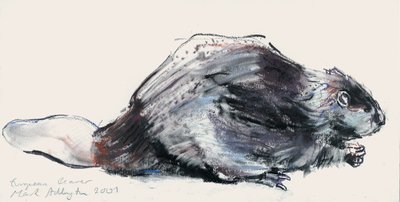 European Beaver (Studie) 2001 (kull und conte på papir) av Mark Adlington
