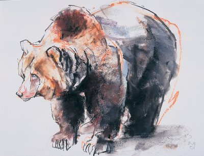 European Brown Bear, 2001 (kull und conte på papir) av Mark Adlington