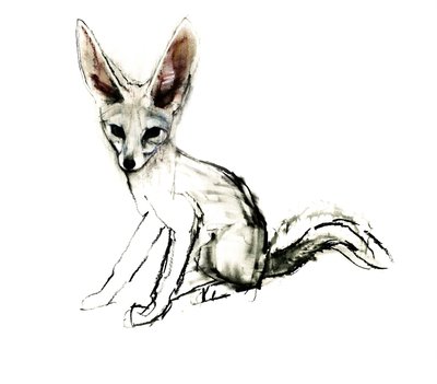 Foxy (Sand Fox), 2009 (conte und charcoal på papir) av Mark Adlington