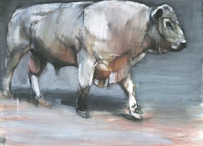 Fresno, Galloway Bull (blandet media på papir) av Mark Adlington