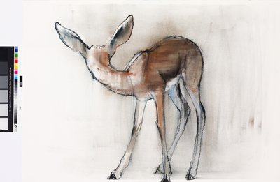 Gazelle Fawn (Arabian Gazelle) 2010 (olje på papir) av Mark Adlington