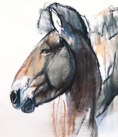 Head Study, Przewalski, 2013, (detalj), (pastell og kull på papir) av Mark Adlington