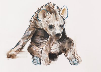 Hyaena Pup (hodet ned), 2019 av Mark Adlington