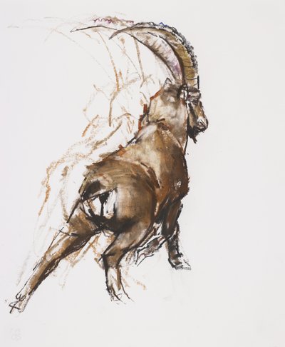 Leg Stretch (kull og conte på papir) av Mark Adlington