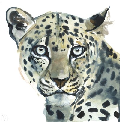 Leopard, 2015, (akvarell på papir) av Mark Adlington