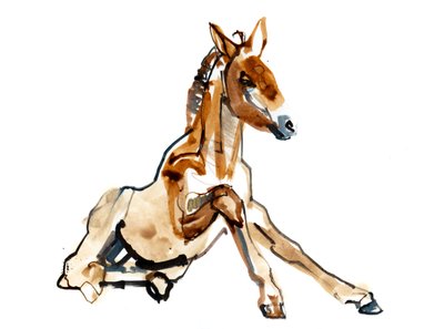 Okerføll (Przewalski), 2013 (sennelier blekk, akvarell og gouache) av Mark Adlington