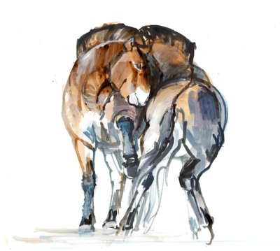 Power Dance (Przewalski), 2013 (sennelier blekk, akvarell og gouache) av Mark Adlington