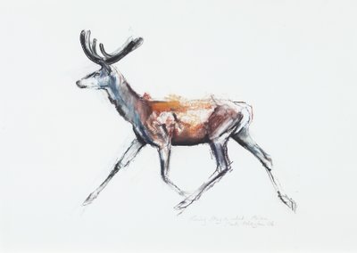 Running Stag in fløyel, Polsen, 2006 (charcoal und conte på papir) av Mark Adlington