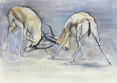 Sand Gazelles, 2009 (conte og kull på papir) av Mark Adlington
