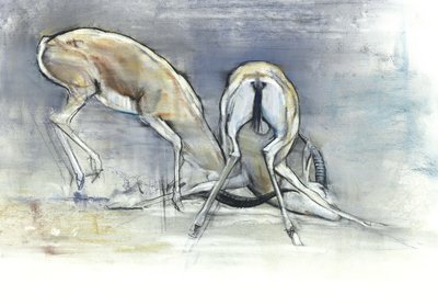 Sand Gazelles, 2009 (conte og kull på papir) av Mark Adlington