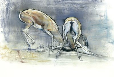 Sand Gazelles, 2009 (conte og kull på papir) av Mark Adlington