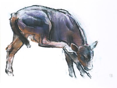 Scratching Calf, 2006 (charcoal und conte på papir) av Mark Adlington