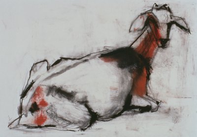 Sittende geit, 1998 (conte og kull på papir) av Mark Adlington