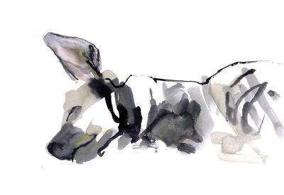 Sleeping Hyaena, 2010, (akvarell på papir) av Mark Adlington