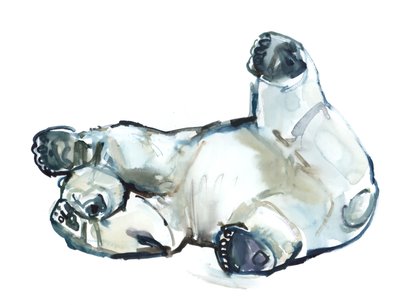 Snow Rub (isbjørn), 2013 (akvarell og gouache på papir) av Mark Adlington