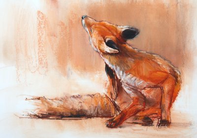 Spring Vixen, 2022 av Mark Adlington