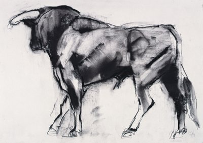 Toro Azul, studie (kull på papir) av Mark Adlington