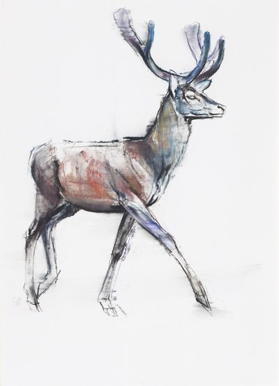 Velvet, 2006 (kull und conte på papir) av Mark Adlington