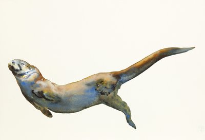 Velvet, 2014, (akvarell på papir) av Mark Adlington