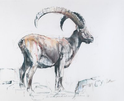 Venerando Stambecco, 2006 (kull und conte på papir) av Mark Adlington