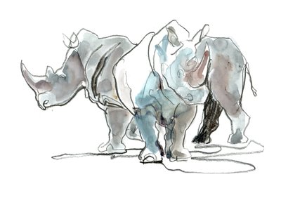 White Rhinos, Mount Etjo, 2020 av Mark Adlington