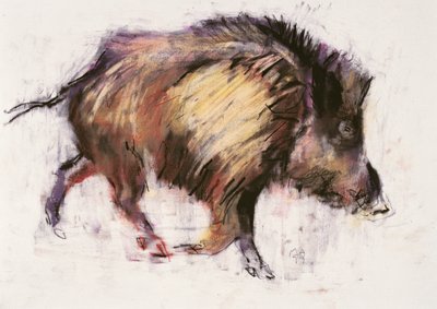 Wild Boar Trotting, 1999 (grafitt, conte og kull på papir) av Mark Adlington