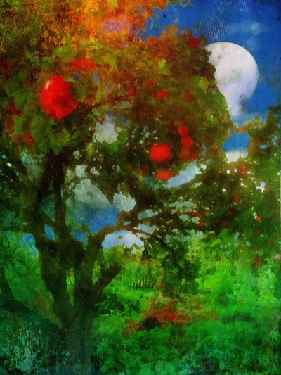  av Mark Gordon