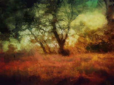  av Mark Gordon