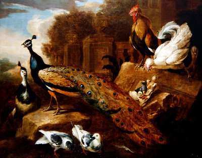 Påfugler, duer og andre fugler og en klassisk bygning (olje på lerret) av Marmaduke (attr. to) Cradock