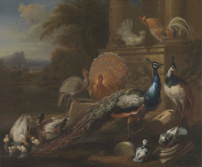Påfugler, duer, kalkuner, høner og ender ved en klassisk ruin av Marmaduke Cradock
