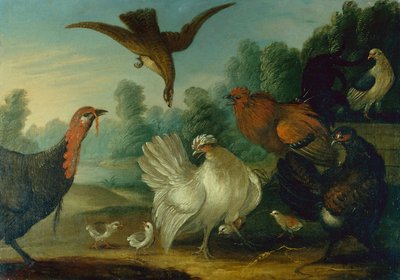 Fjærkre i et landskap (olje på lerret) av Marmaduke Cradock
