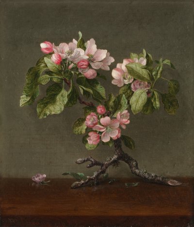 Epleblomster, 1873. av Martin Johnson Heade