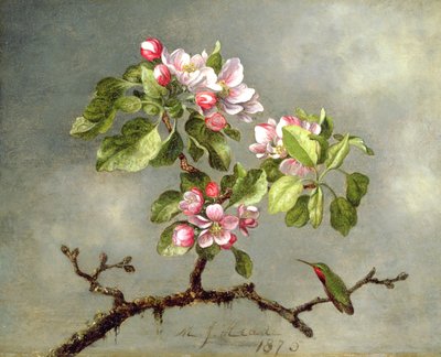 Epleblomster og en kolibri, 1875 av Martin Johnson Heade