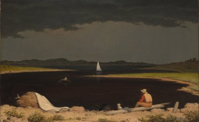 Nærmer seg tordenvær av Martin Johnson Heade