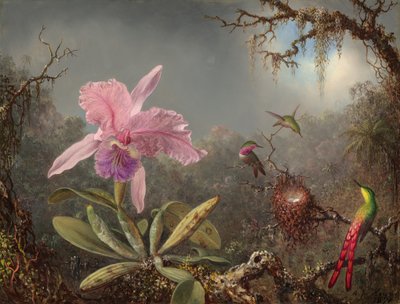 Cattleya Orchid and Three Hummingbirds, 1871. av Martin Johnson Heade
