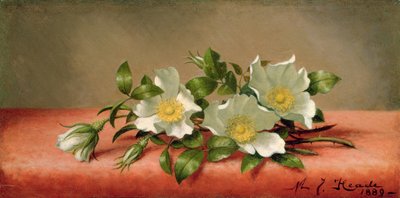 Cherokee Roses, 1889 av Martin Johnson Heade