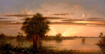  av Martin Johnson Heade