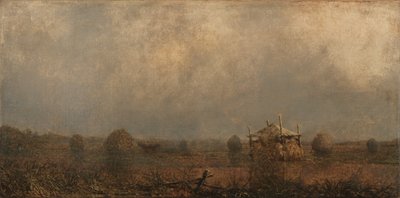 Høyvann på myrene av Martin Johnson Heade