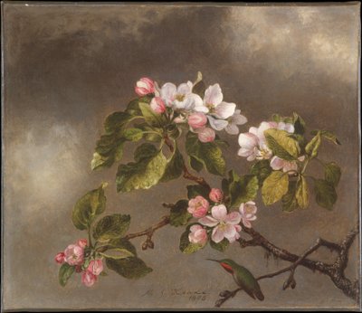  av Martin Johnson Heade