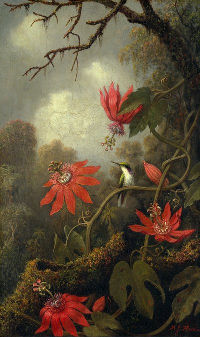 Kolibri og pasjonsblomster, ca. 1875-85. av Martin Johnson Heade