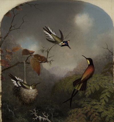 Hummingbirds: Two Sungems and a Crimson Topaz, 1866 av Martin Johnson Heade