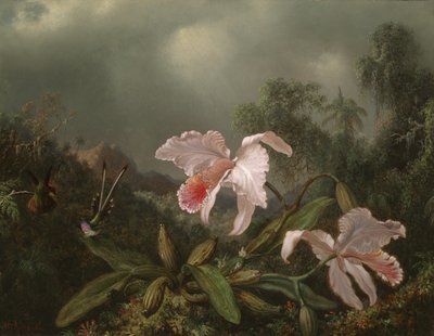 Jungle orkideer og kolibrier, 1872 av Martin Johnson Heade