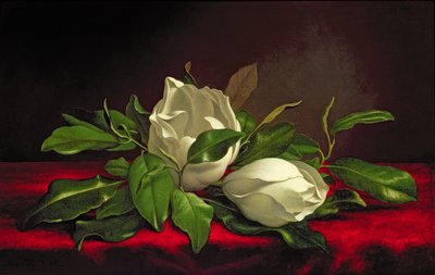 Magnolia av Martin Johnson Heade