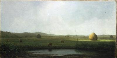 Marsh Scene: Cattle near a Hay Saddle (olje på lerret) av Martin Johnson Heade