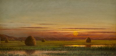 Myrland av Martin Johnson Heade